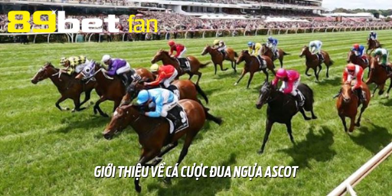 Sơ lược về cá cược đua ngựa Ascot