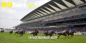 Cá cược đua ngựa Ascot thu hút người chơi nhờ mức thưởng hấp dẫn